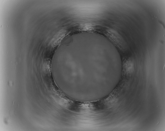 X0000102220415200808011207