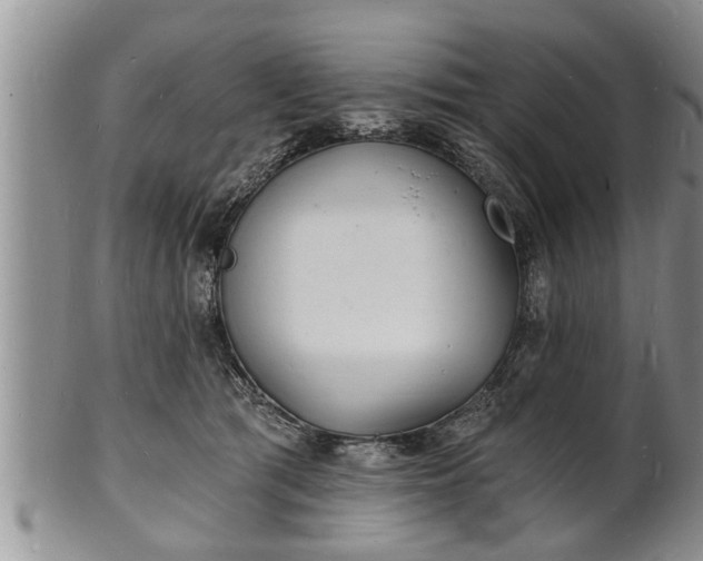 X0000102220417200808011207