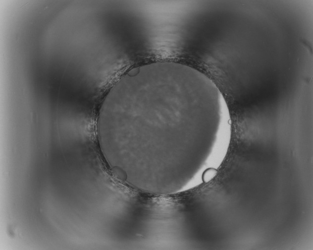 X0000102220419200808011207