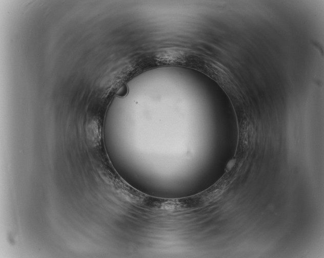 X0000102220420200808011207