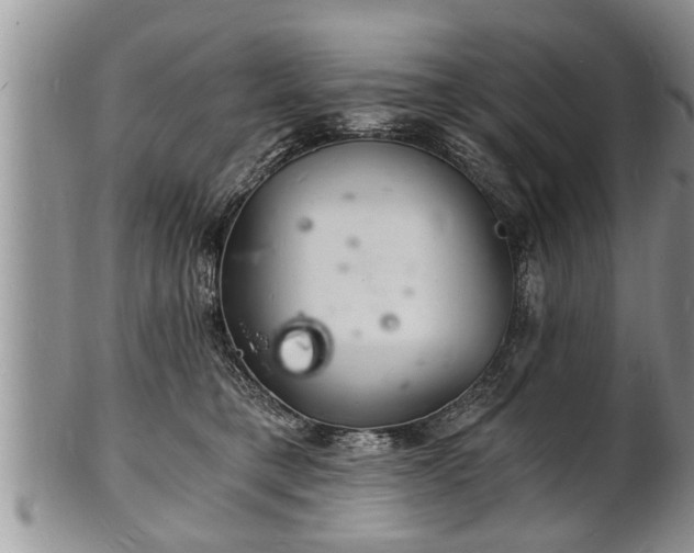 X0000102220421200808011207