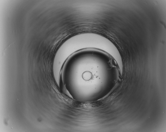 X0000102220423200808011207