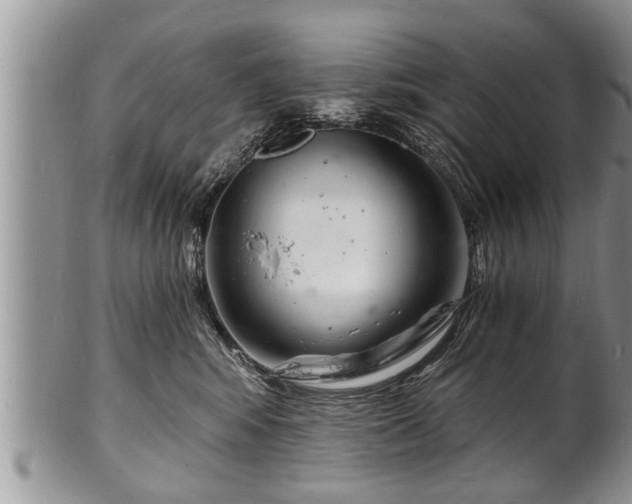 X0000102220424200808011207