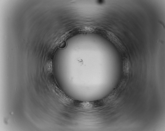 X0000102220425200808011207