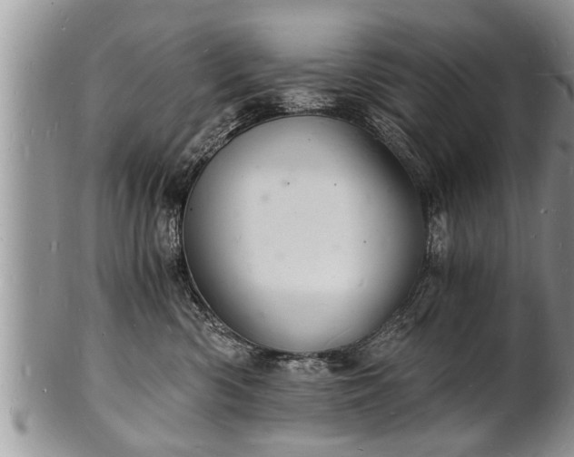 X0000102220426200808011207