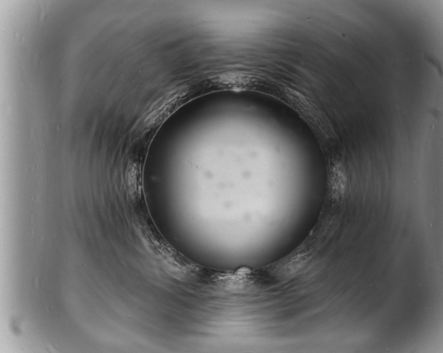 X0000102220428200808011207