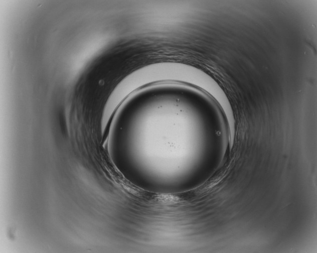 X0000102220429200808011207