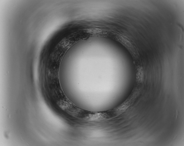 X0000102220430200808011207