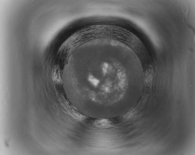 X0000102220431200808011207