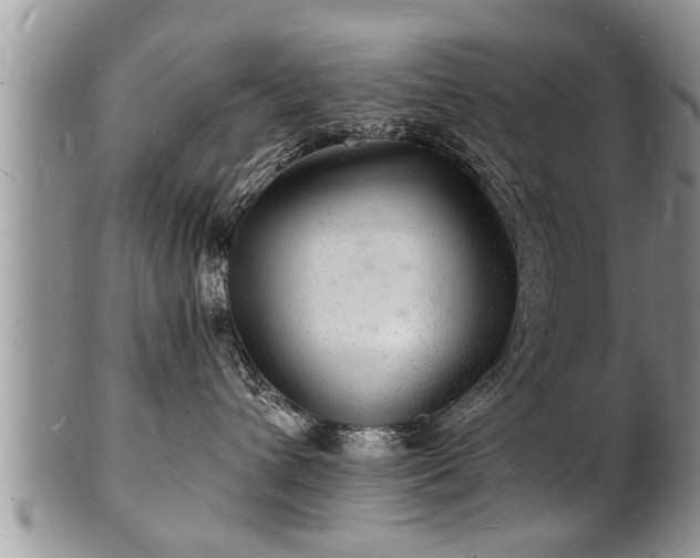 X0000102220432200808011207