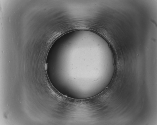 X0000102220433200808011206