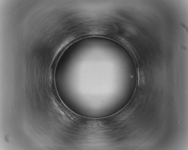 X0000102220435200808011206