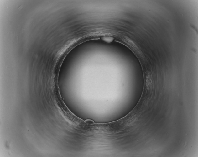 X0000102220436200808011206