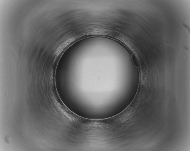 X0000102220437200808011206