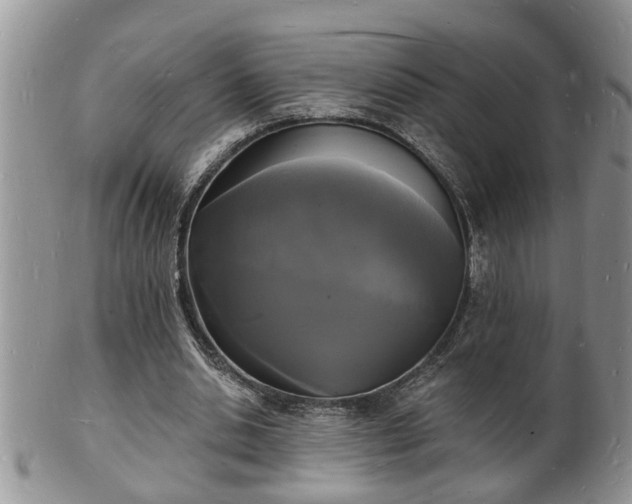 X0000102220438200808011206