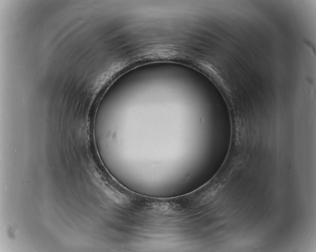 X0000102220439200808011206