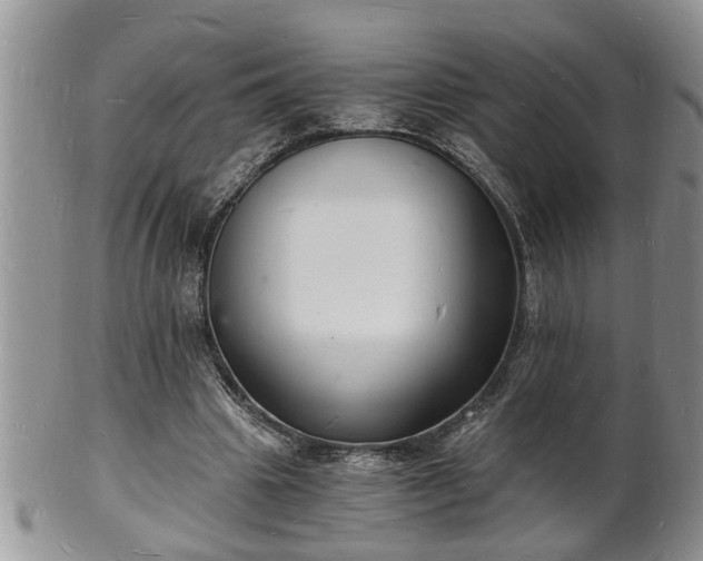 X0000102220441200808011206