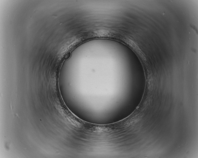 X0000102220442200808011206