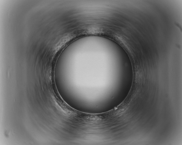 X0000102220443200808011206