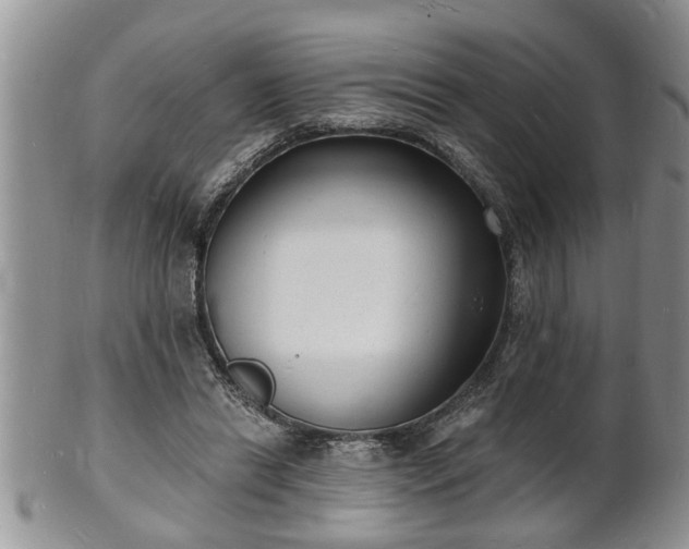 X0000102220446200808011206