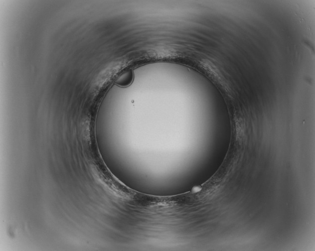 X0000102220447200808011206