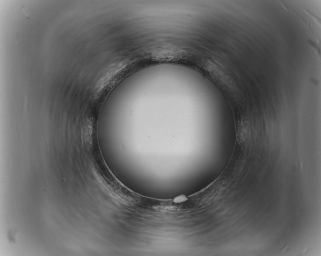 X0000102220448200808011206