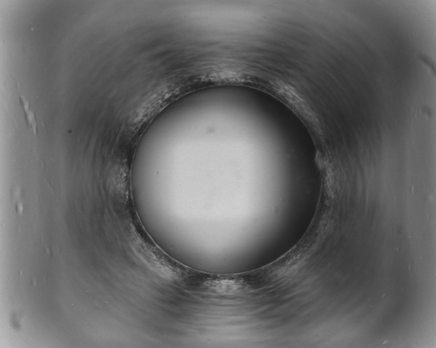 X0000102220449200808011206