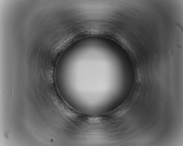 X0000102220450200808011206