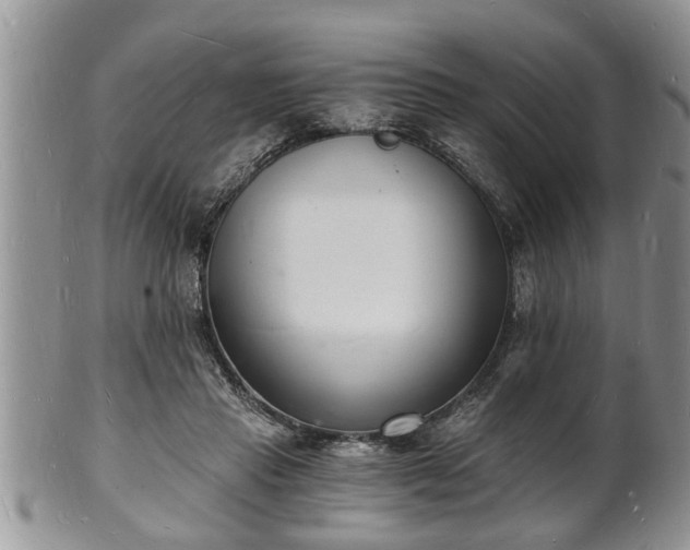 X0000102220453200808011206