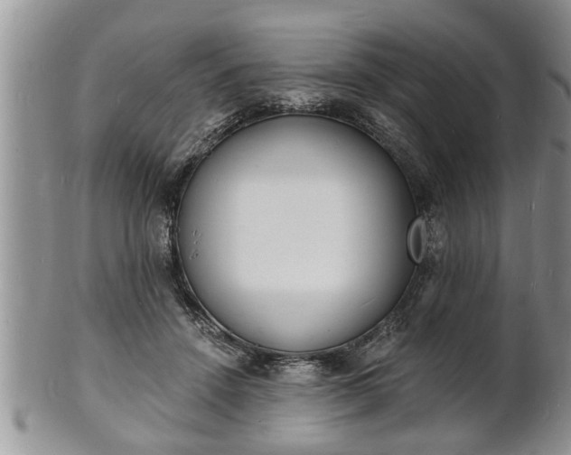 X0000102220456200808011206