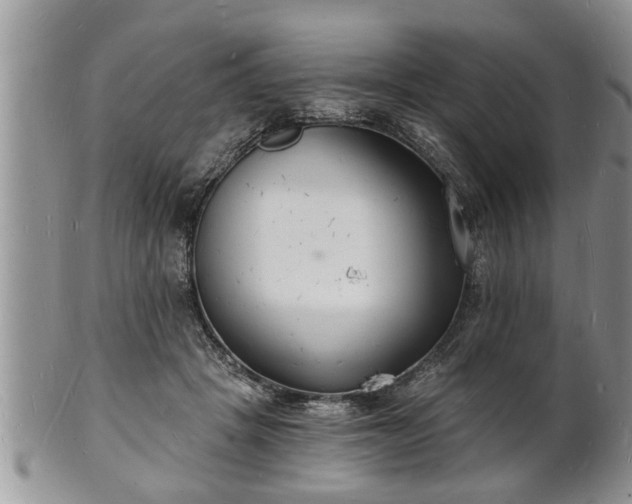 X0000102220457200808011206