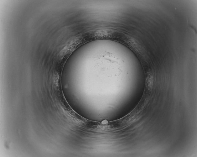 X0000102220458200808011206