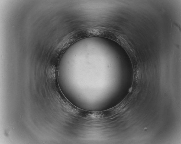 X0000102220466200808011206