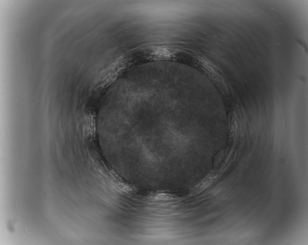 X0000102220467200808011206