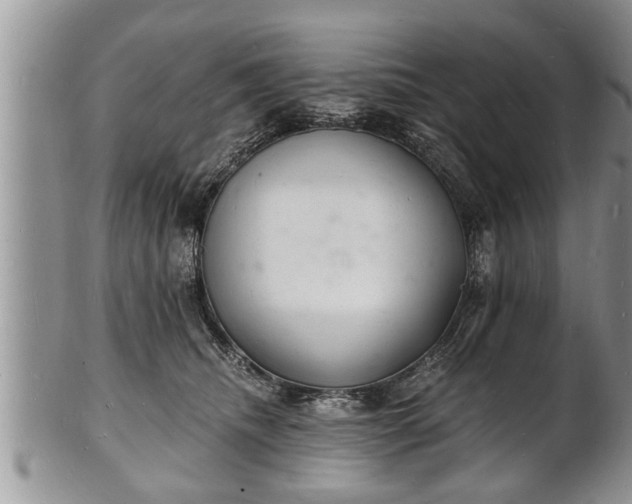 X0000102220468200808011206