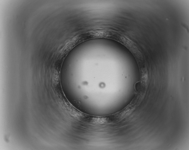 X0000102220469200808011206