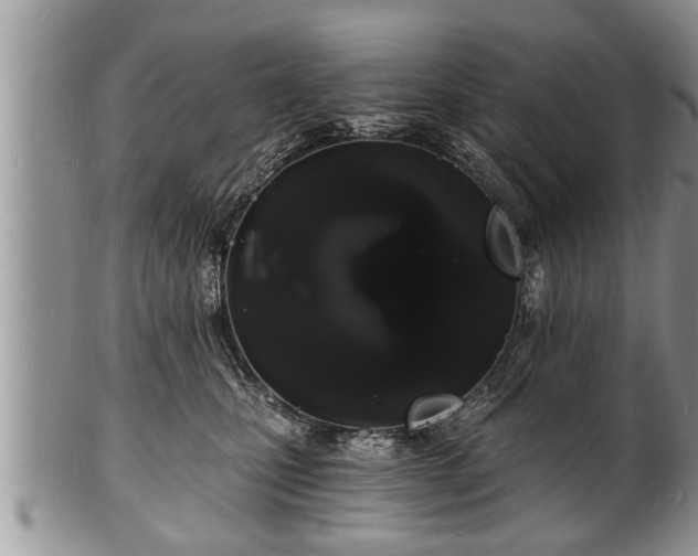 X0000102220471200808011206