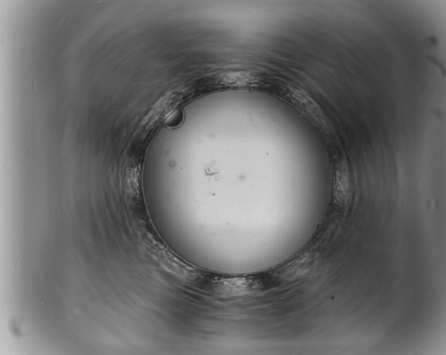 X0000102220473200808011206