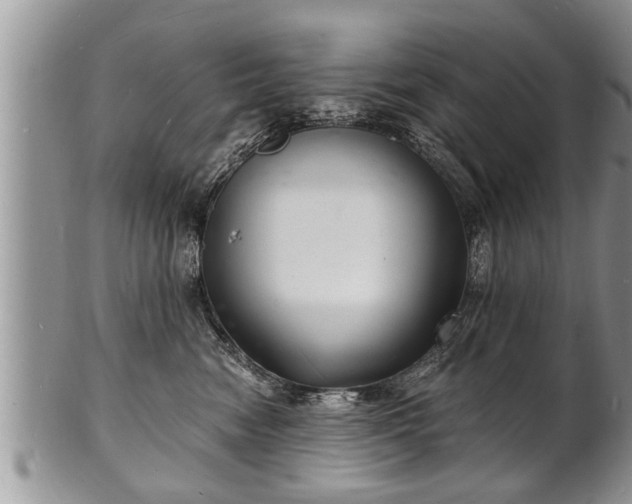 X0000102220474200808011206