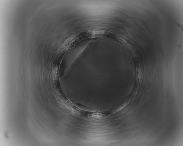 X0000102220475200808011206