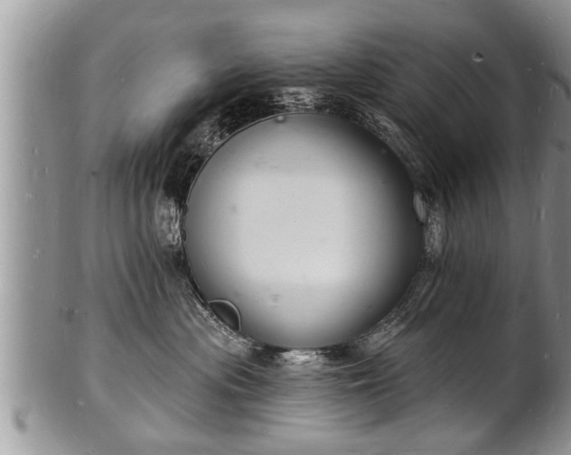 X0000102220477200808011206