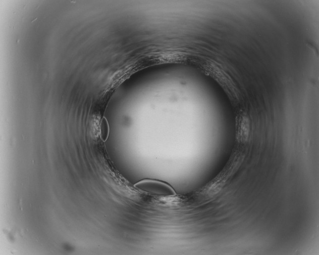 X0000102220478200808011206