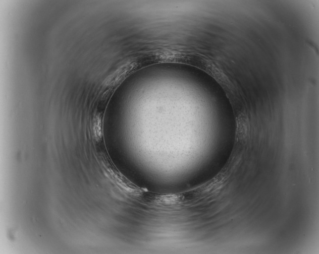 X0000102220479200808011207