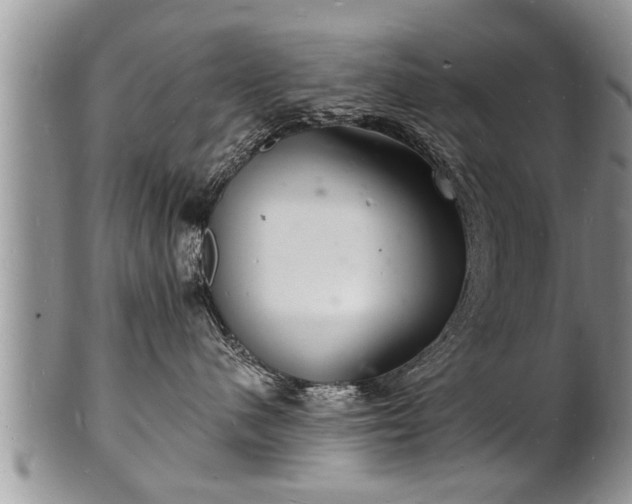 X0000102220480200808011207