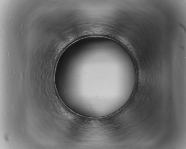 X0000102220481200808011206