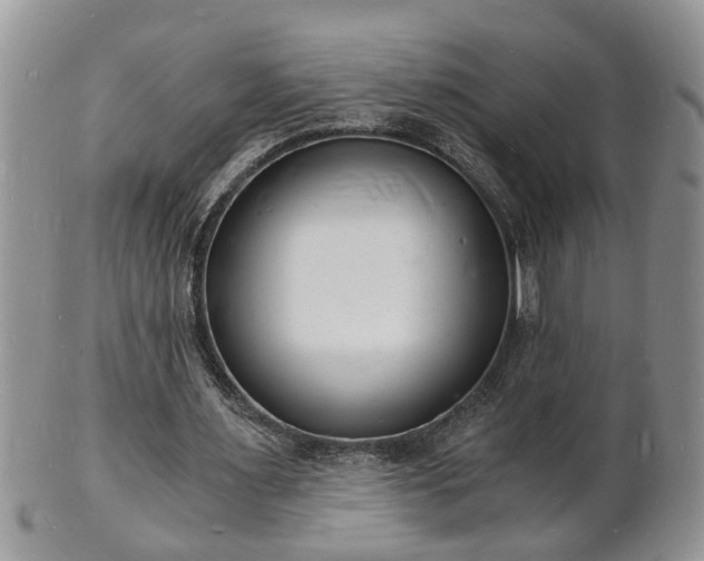 X0000102220483200808011206