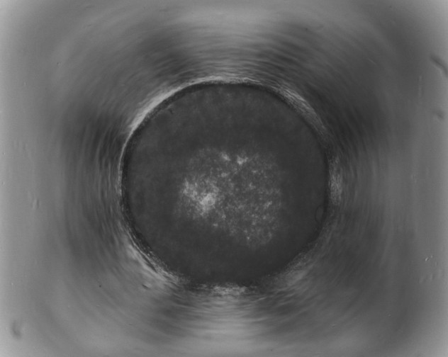 X0000102220484200808011206