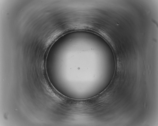 X0000102220485200808011206