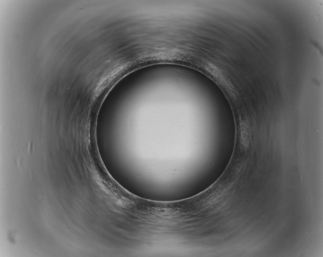 X0000102220486200808011206