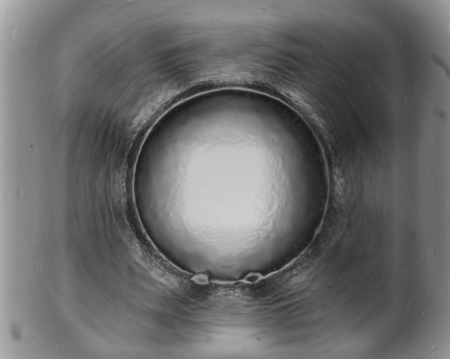 X0000102220487200808011206